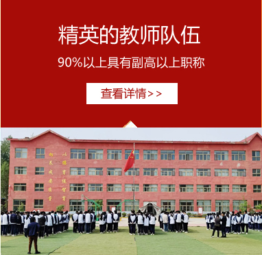 精英的教师队伍